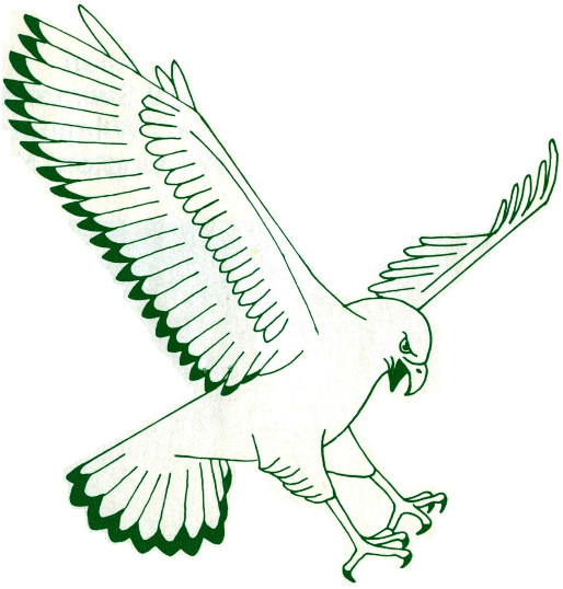 NC-Wilmington Seahawks 1977-1985 Primary Logo diy fabric transfer